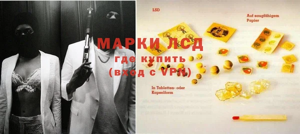МДПВ Бородино