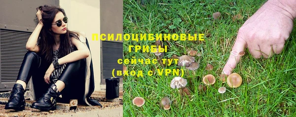 индика Бугульма