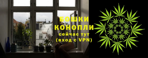 МДПВ Бородино