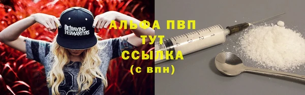 индика Бугульма