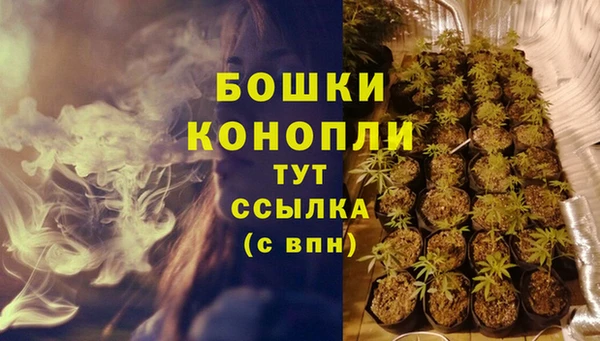 герыч Бронницы