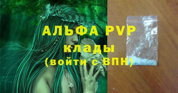 индика Бугульма