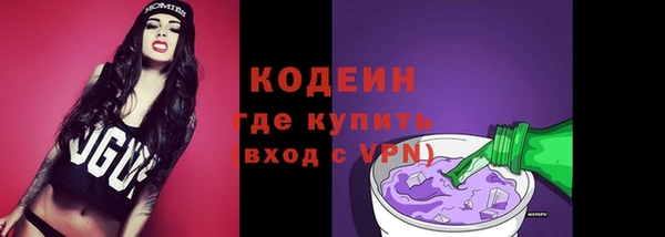 индика Бугульма
