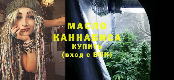 МДПВ Бородино