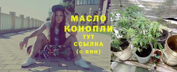МДПВ Бородино