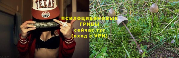 МДПВ Бородино