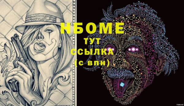 индика Бугульма