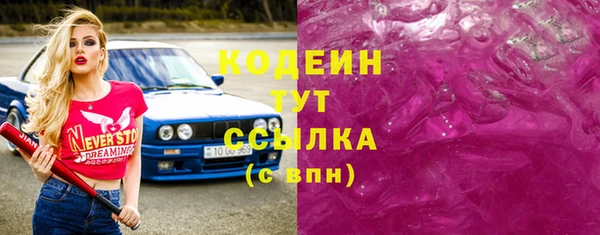 индика Бугульма