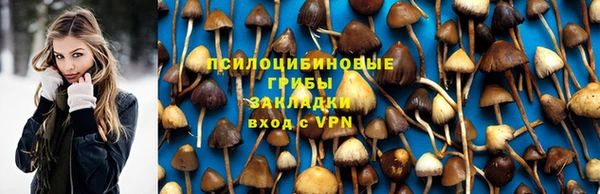 МДПВ Бородино