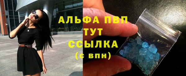 прущие грибы Всеволожск