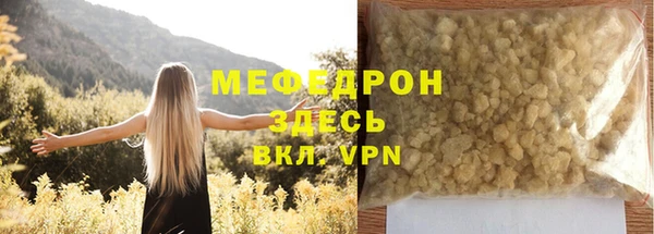 МДПВ Бородино