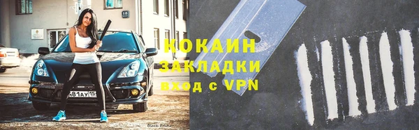 индика Бугульма