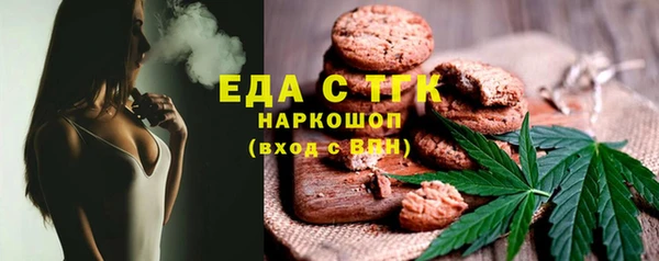 МДПВ Бородино