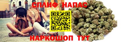 стаф Старая Купавна