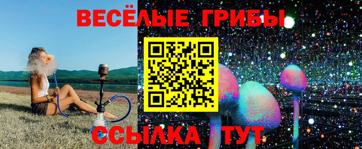 Псилоцибиновые грибы Psilocybe Дагестанские Огни